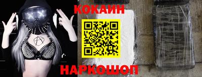 индика Гатчина