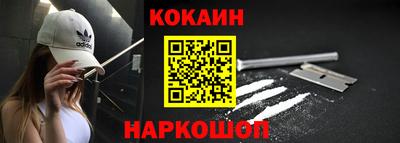 индика Гатчина