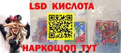 индика Гатчина