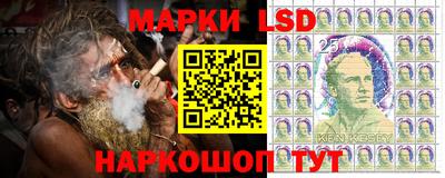 индика Гатчина