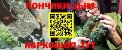 индика Гатчина